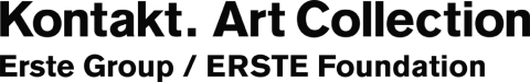 Logo ERSTE Stiftung