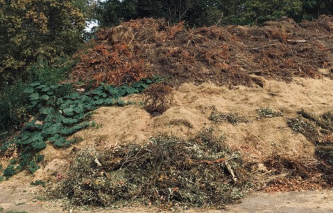 Inga Kerber, Kompost (Detail)