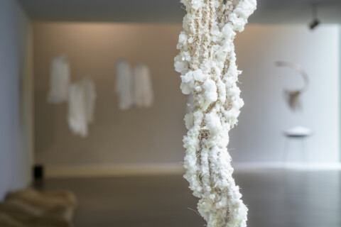 Ronny Aviram, Werde ich zu einer Salzsäule, Installationsansicht, 2025, Foto: Alexandra Ivanciu