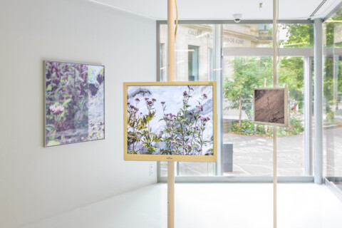 Susanne Kriemann: Knochen, Pech, Natternkopf (Being a Photograph), Installationsansicht, 2025, Foto: Alexandra Ivanciu, Copyright: VG Bild-Kunst, Bonn, 2025