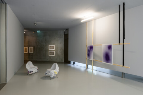Susanne Kriemann: Knochen, Pech, Natternkopf (Being a Photograph), Installationsansicht, 2025, Foto: Alexandra Ivanciu, Copyright: VG Bild-Kunst, Bonn, 2025