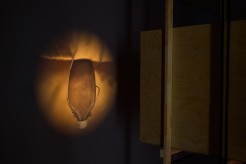 Susanne Kriemann: Knochen, Pech, Natternkopf (Being a Photograph), Installationsansicht, 2025, Foto: Alexandra Ivanciu, Copyright: VG Bild-Kunst, Bonn, 2025
