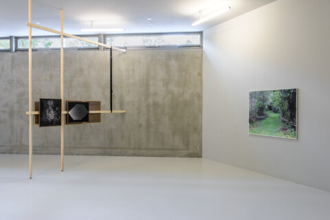 Susanne Kriemann: Knochen, Pech, Natternkopf (Being a Photograph), Installationsansicht, 2025, Foto: Alexandra Ivanciu, Copyright: VG Bild-Kunst, Bonn, 2025