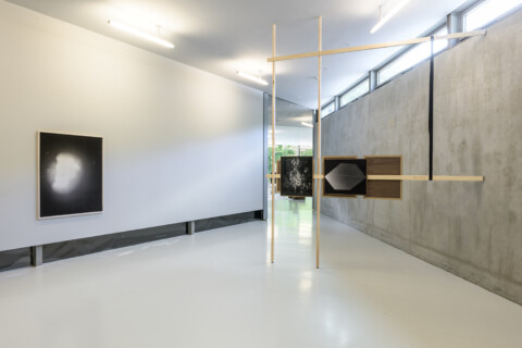 Susanne Kriemann: Knochen, Pech, Natternkopf (Being a Photograph), Installationsansicht, 2025, Foto: Alexandra Ivanciu, Copyright: VG Bild-Kunst, Bonn, 2025
