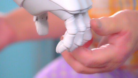 Rory Pilgrim, Software Garden, 2016-2018, Videostill