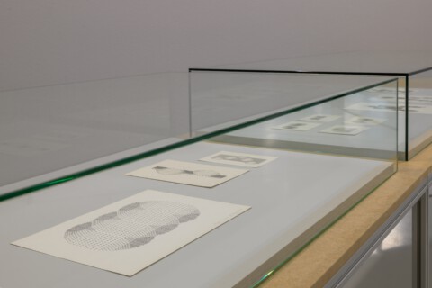 Robotron. Code und Utopie, Ruth Wolf-Rehfeldt, Foto: Alexandra Ivanciu