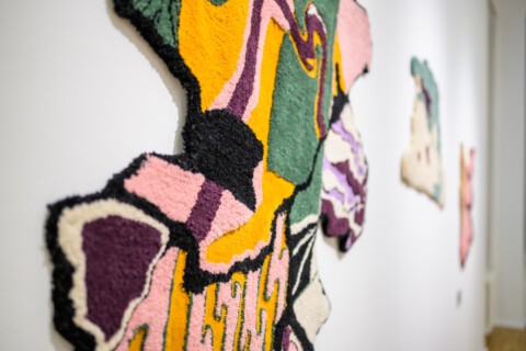 Andrea Garcia Vasquez, Shapes of Destruction, 2020–22